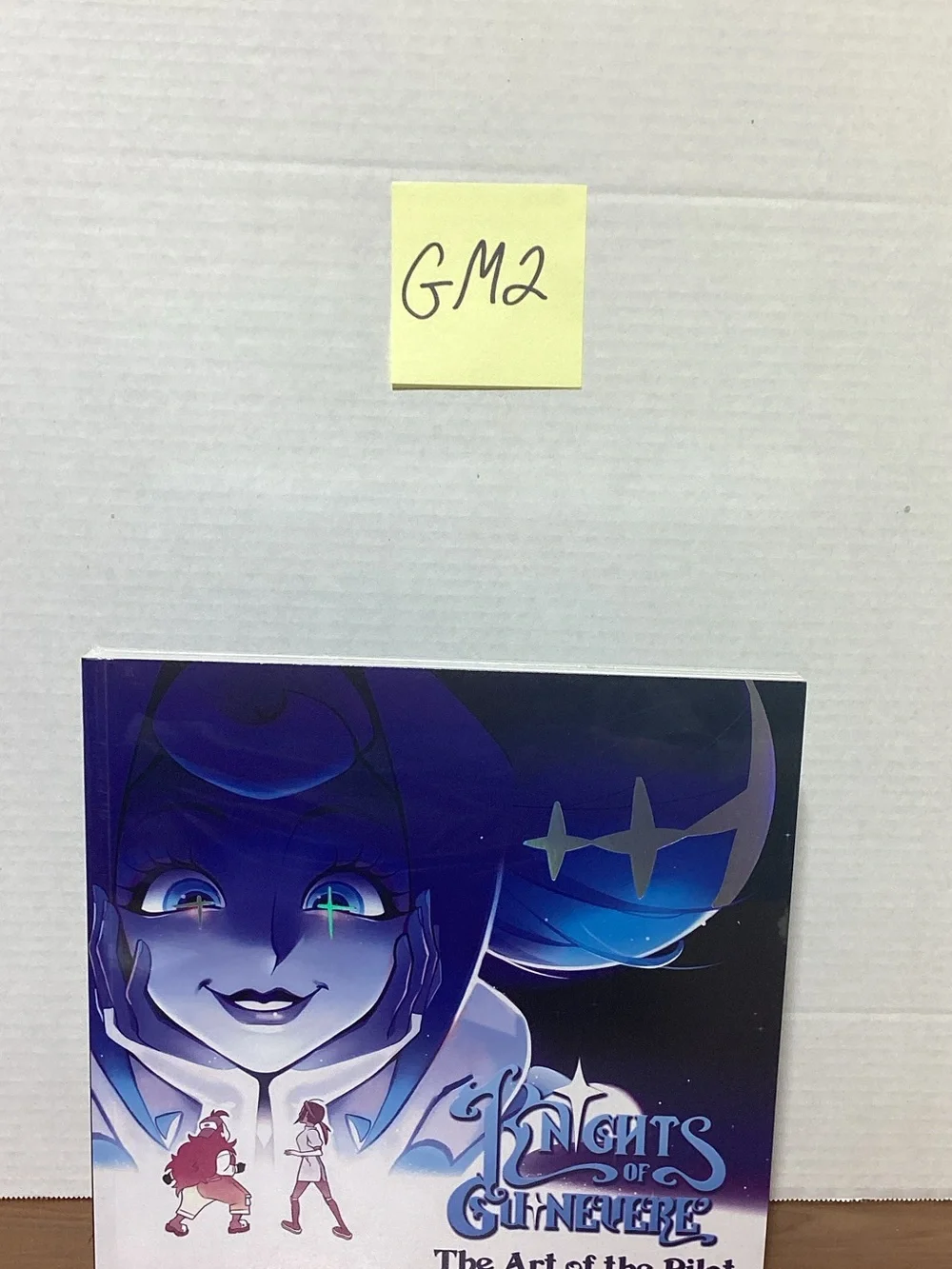 Knights ofGuinevere : Art Book with Blue and Purple Cover